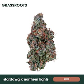 Stardawg x Northern Lights - Flower