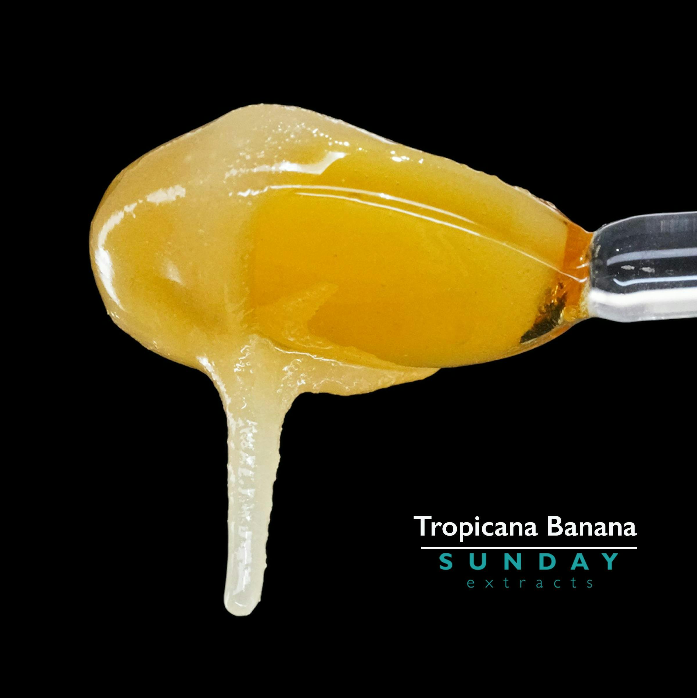 1g Concentrate Tropicana Banana