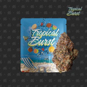SEED JUNKY - Seed Junky Tropical Burst 1/8 28%