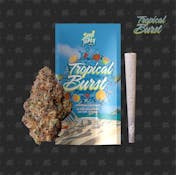TROPICAL BURST (1G Pre-Roll)