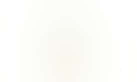 1000mg Pineapple Medicated Syrup | Coastal Remedies