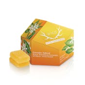 Sour Tangerine Hybrid Enhanced Gummies