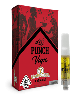 Punch - 510 Distillate Cart - Ambrosia (1g)