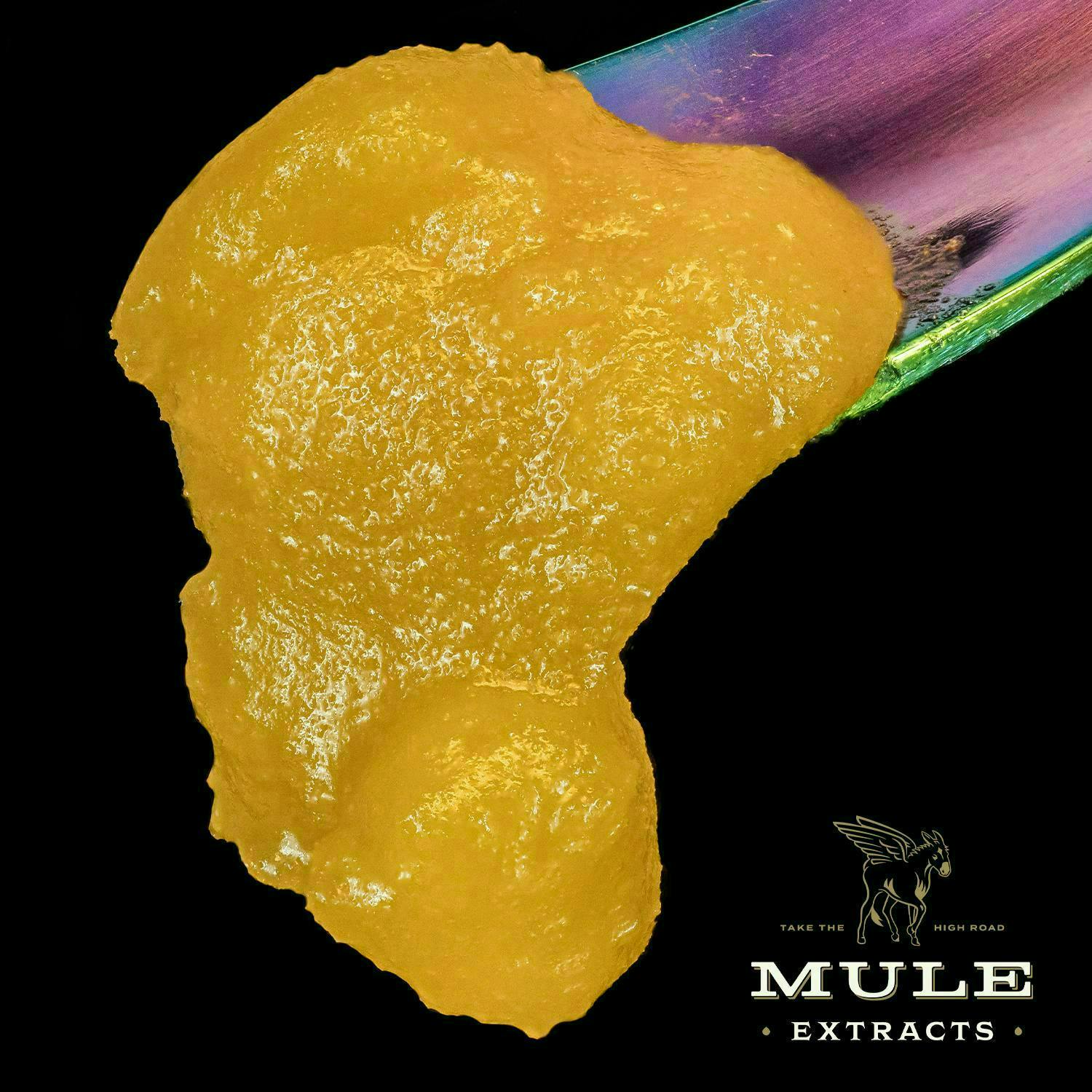 Mule Extracts: Orange Asphalt