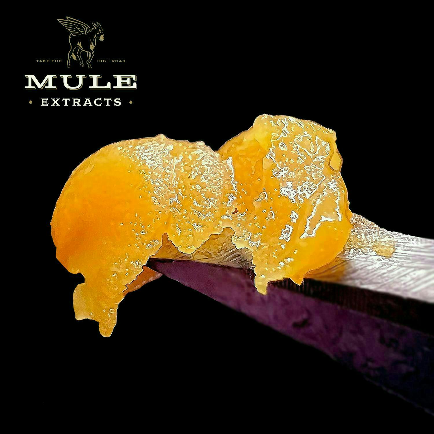 Mule Extracts: The Ghost