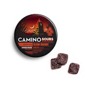 Blood Orange Gummies 'Spirited' (S) | 10mg 10pk Sour Gummy | Kiva Confections
