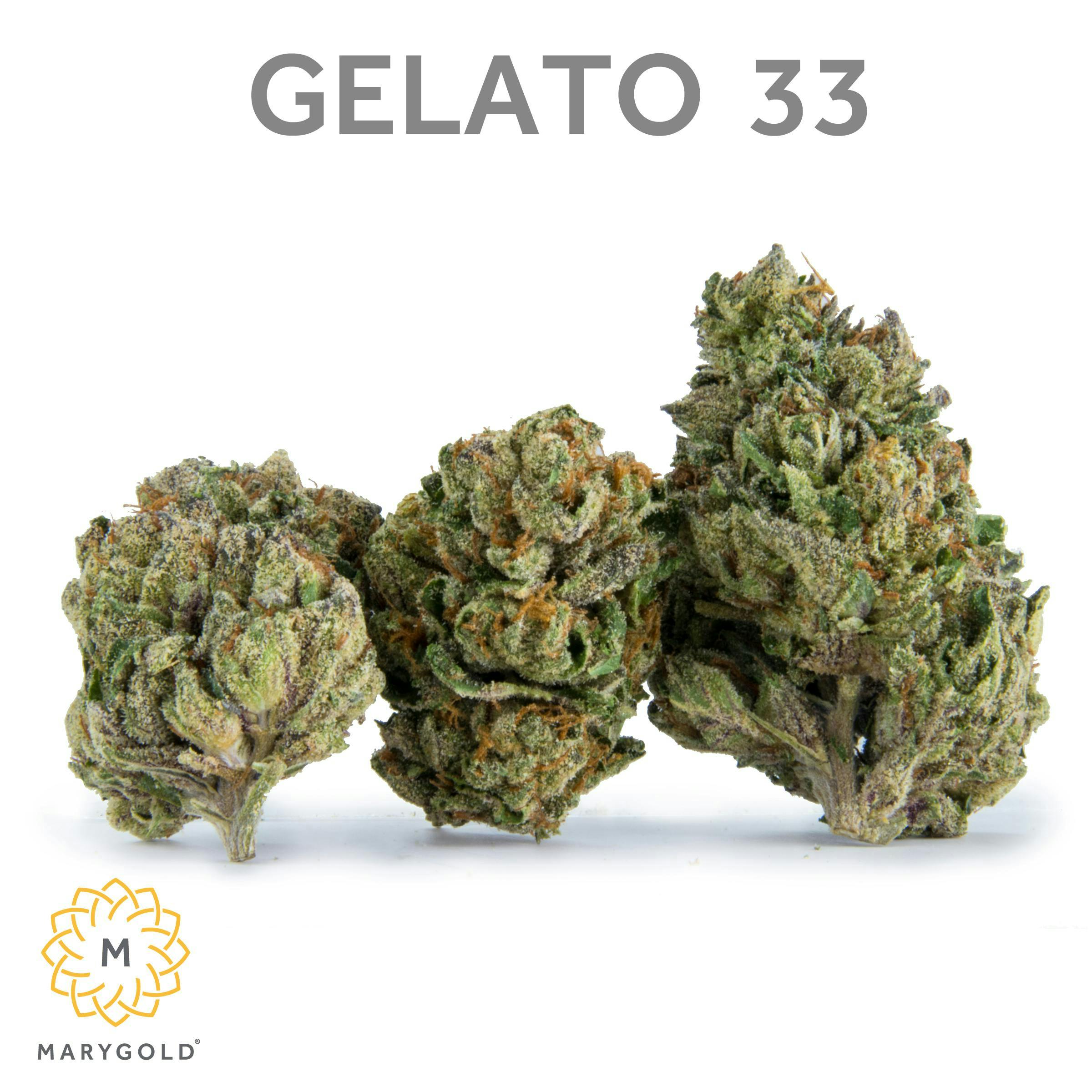 Gelato Big Buds