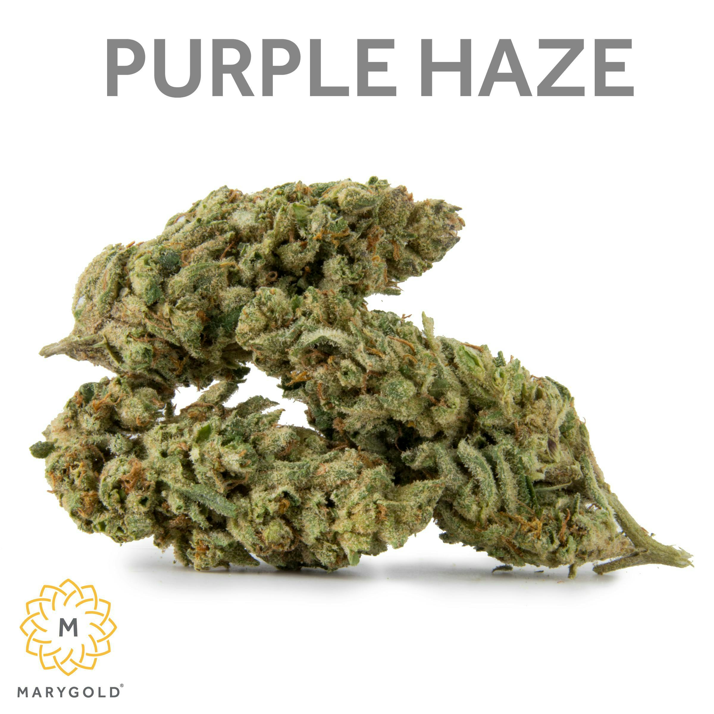 Marygold | Purple Haze | Big Buds | 3.5g - Marygold