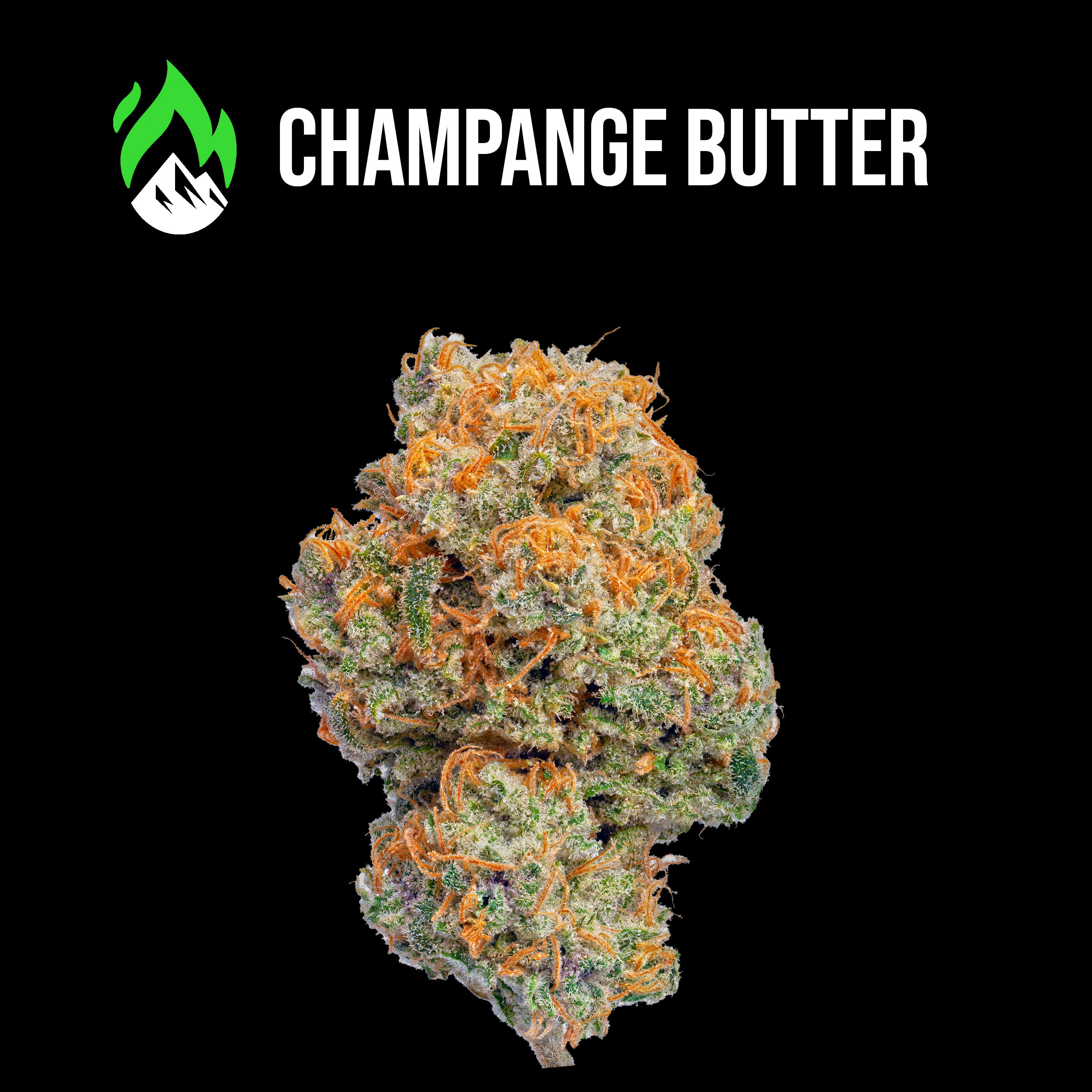 Champagne Butter Flower by Wildfire