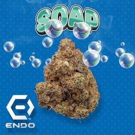ENDO PRIME SOAP 3.5G