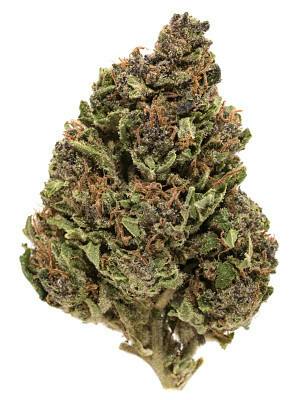 River Remedy: Gushmints 3.5g by River Remedy