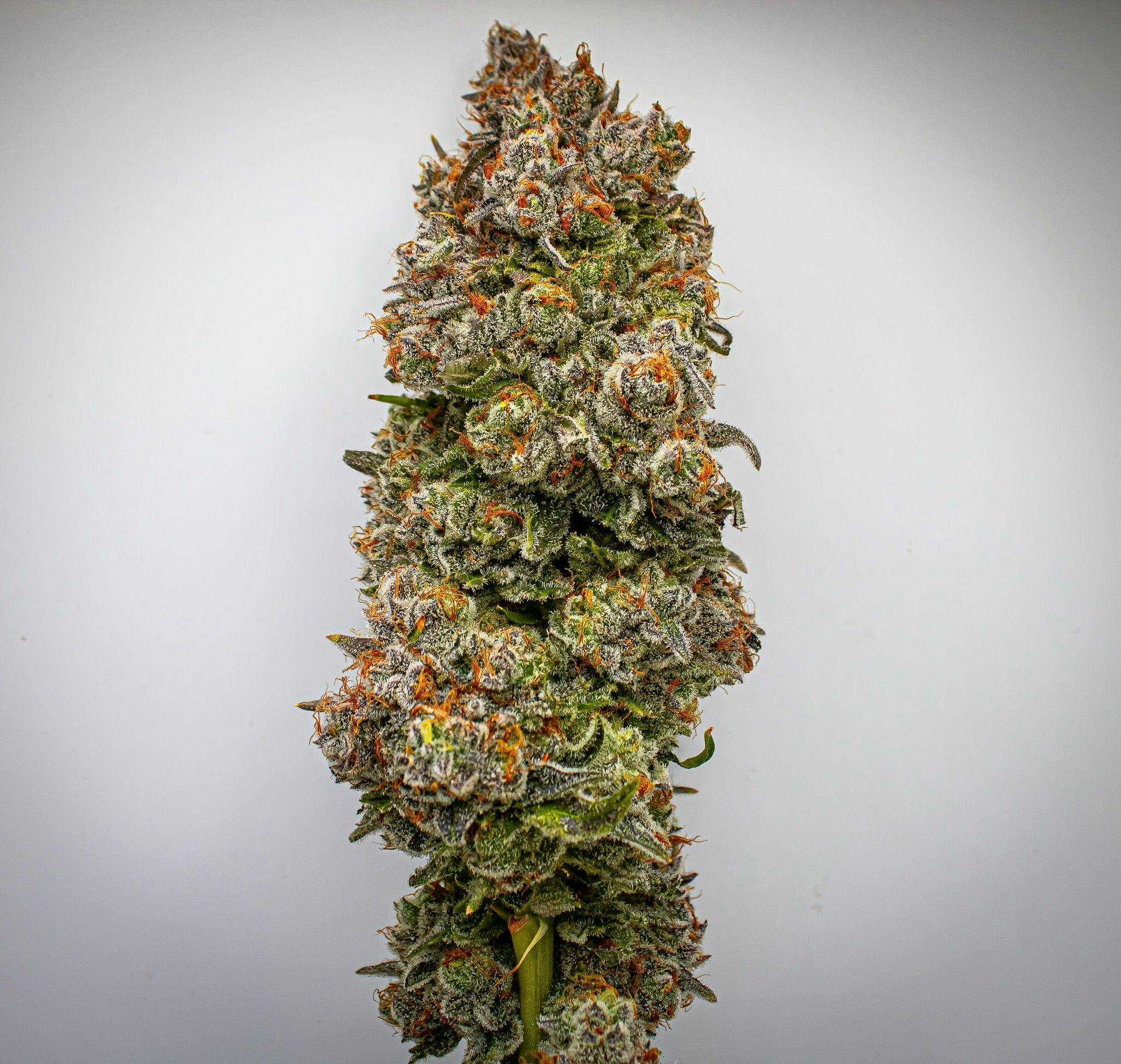 River Remedy: Ice Cream Cake 3.5g