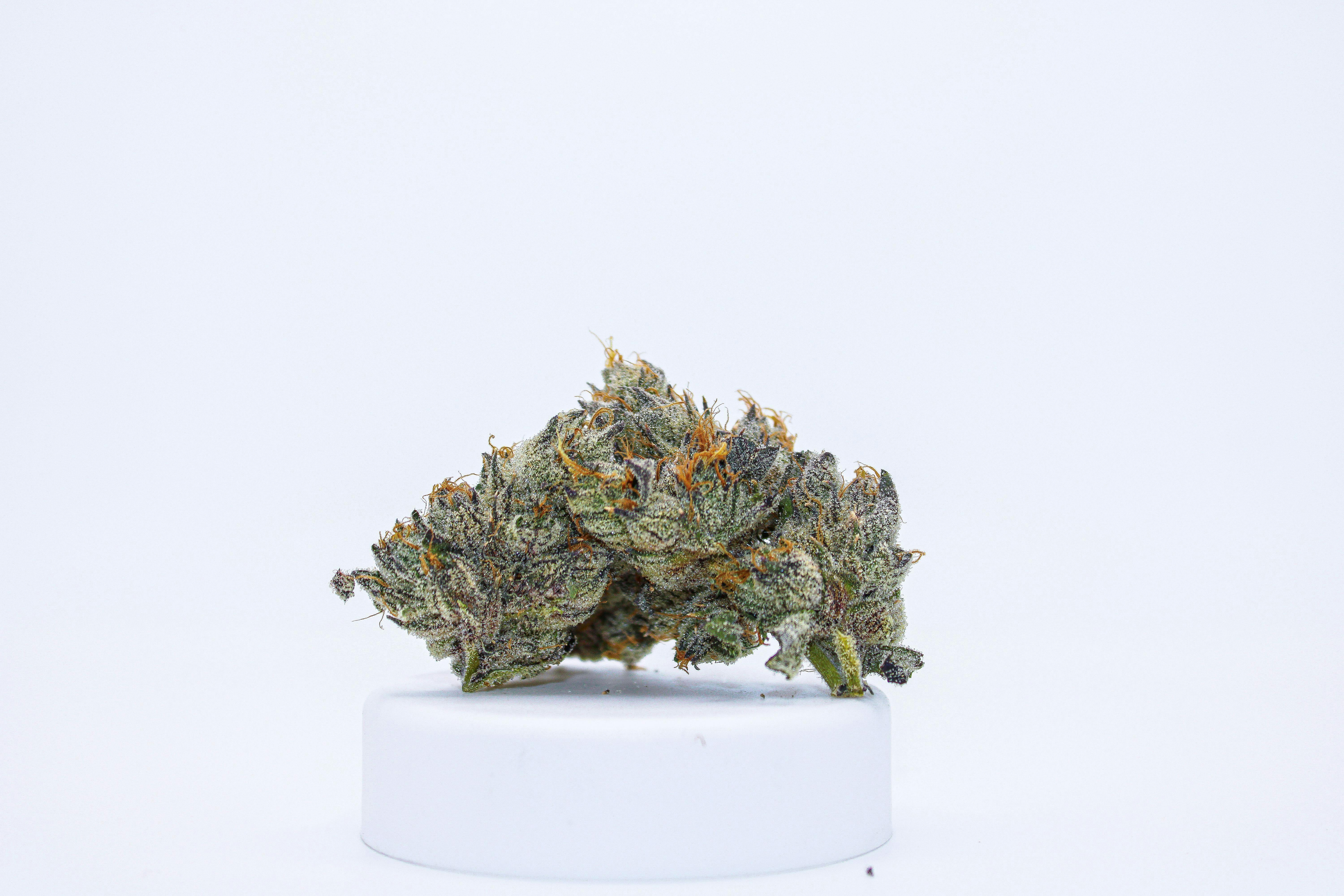River Remedy: Runtz 3.5g by River Remedy