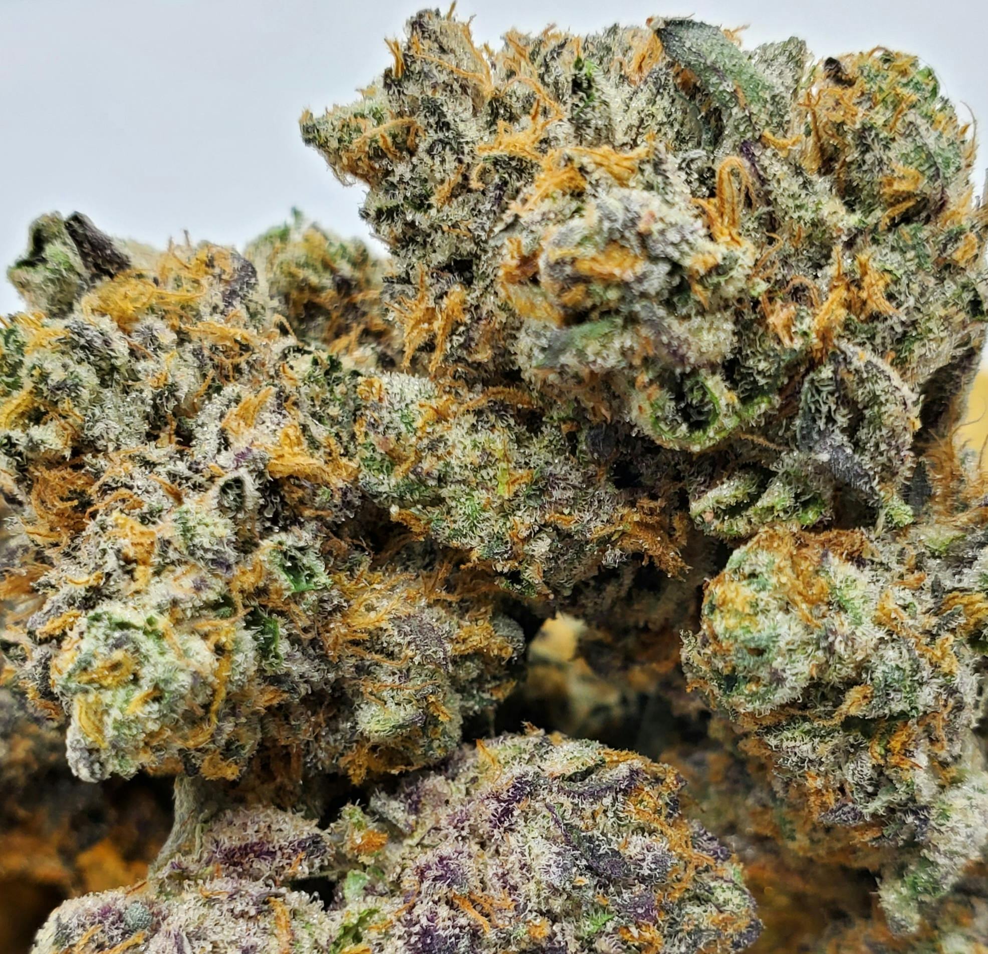 Wedding Sherb - World Class Cannabis Wedding Sherb - World Class Cannabis