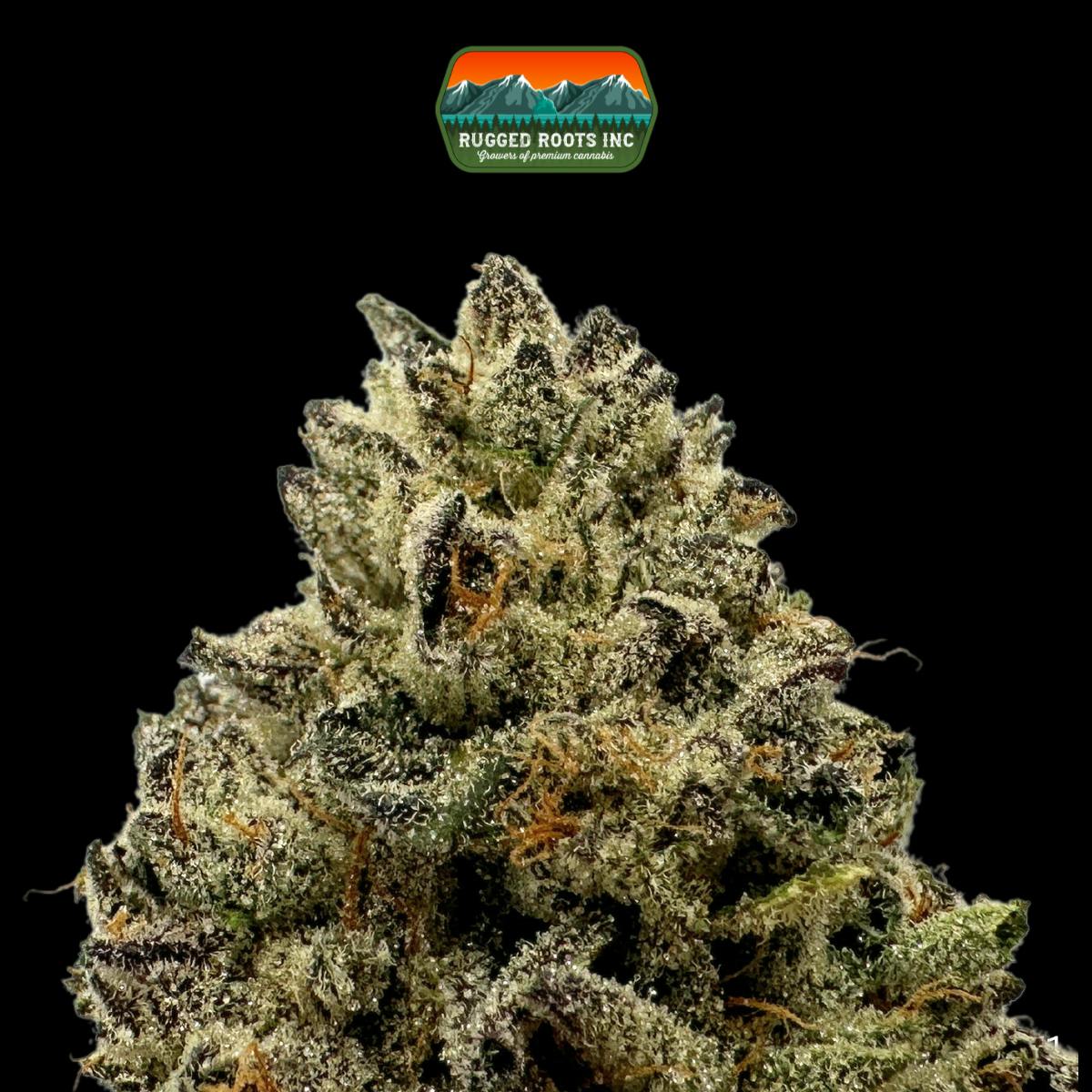 Rugged Roots | Cranebow City 3.5g by Rugged Roots