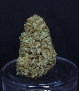 Afgoo 14g Flower