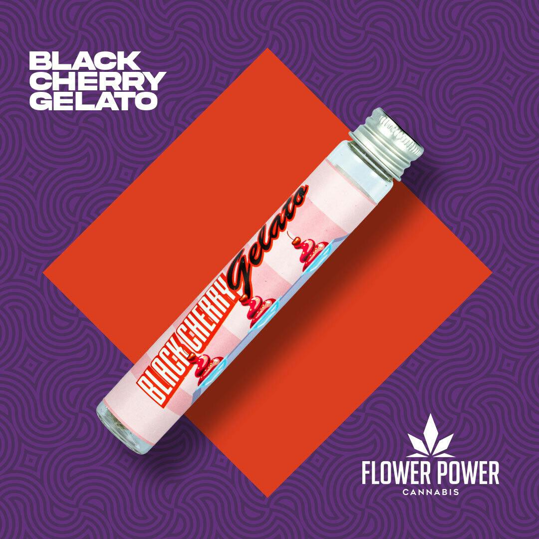 Black Cherry Gelato | Joint | 1g