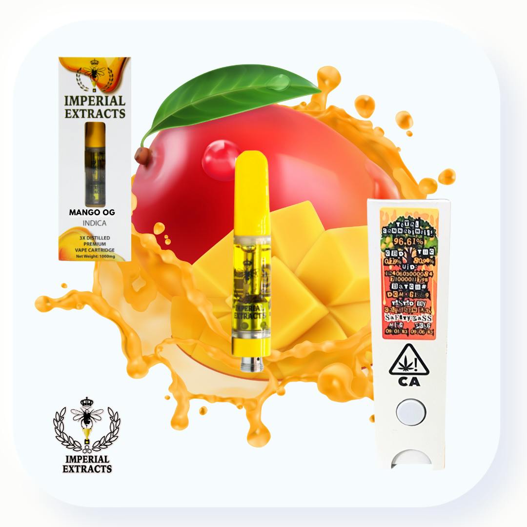 Imper mango 2025