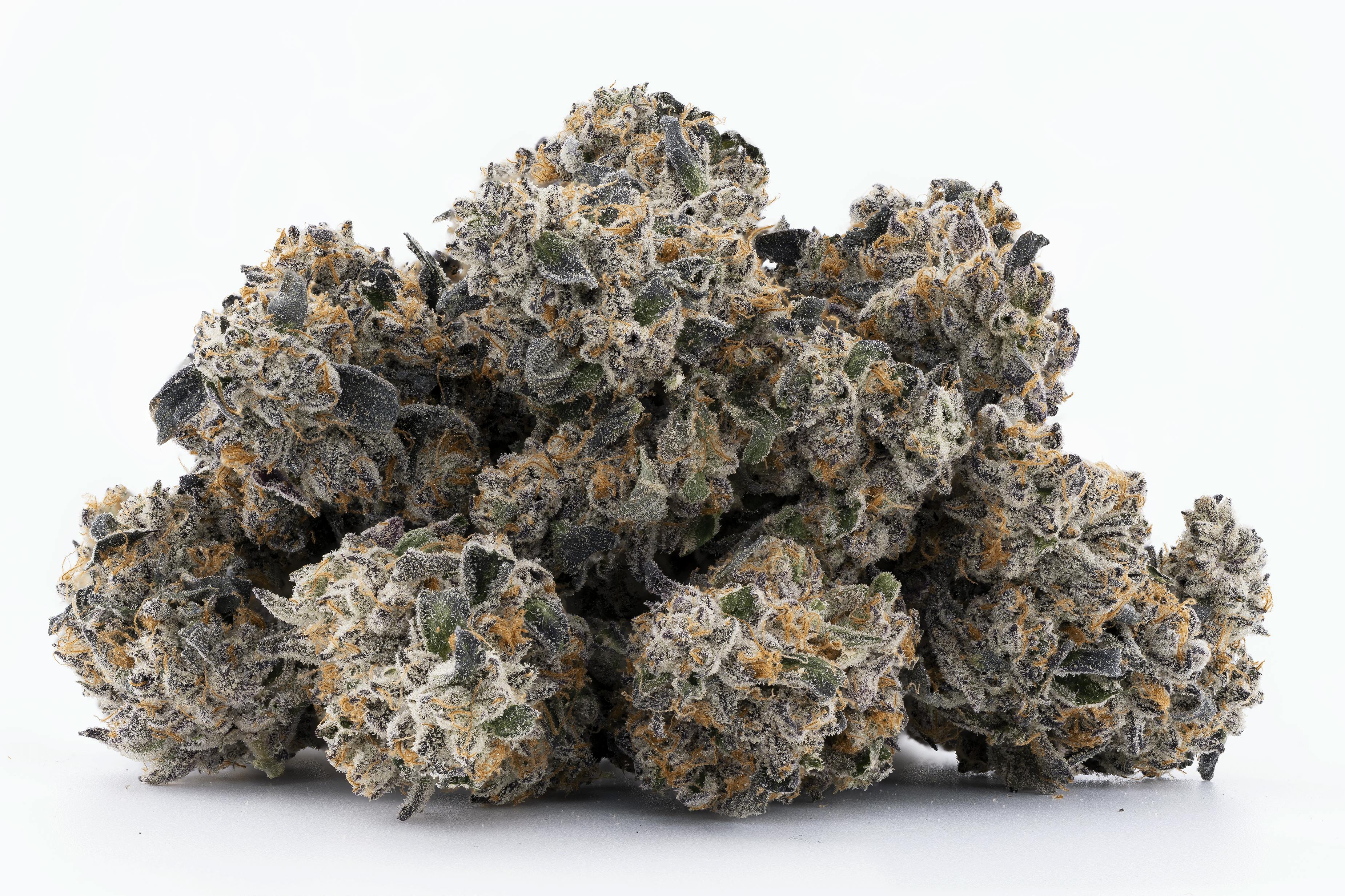 Lumpy's Flowers — Benanimals