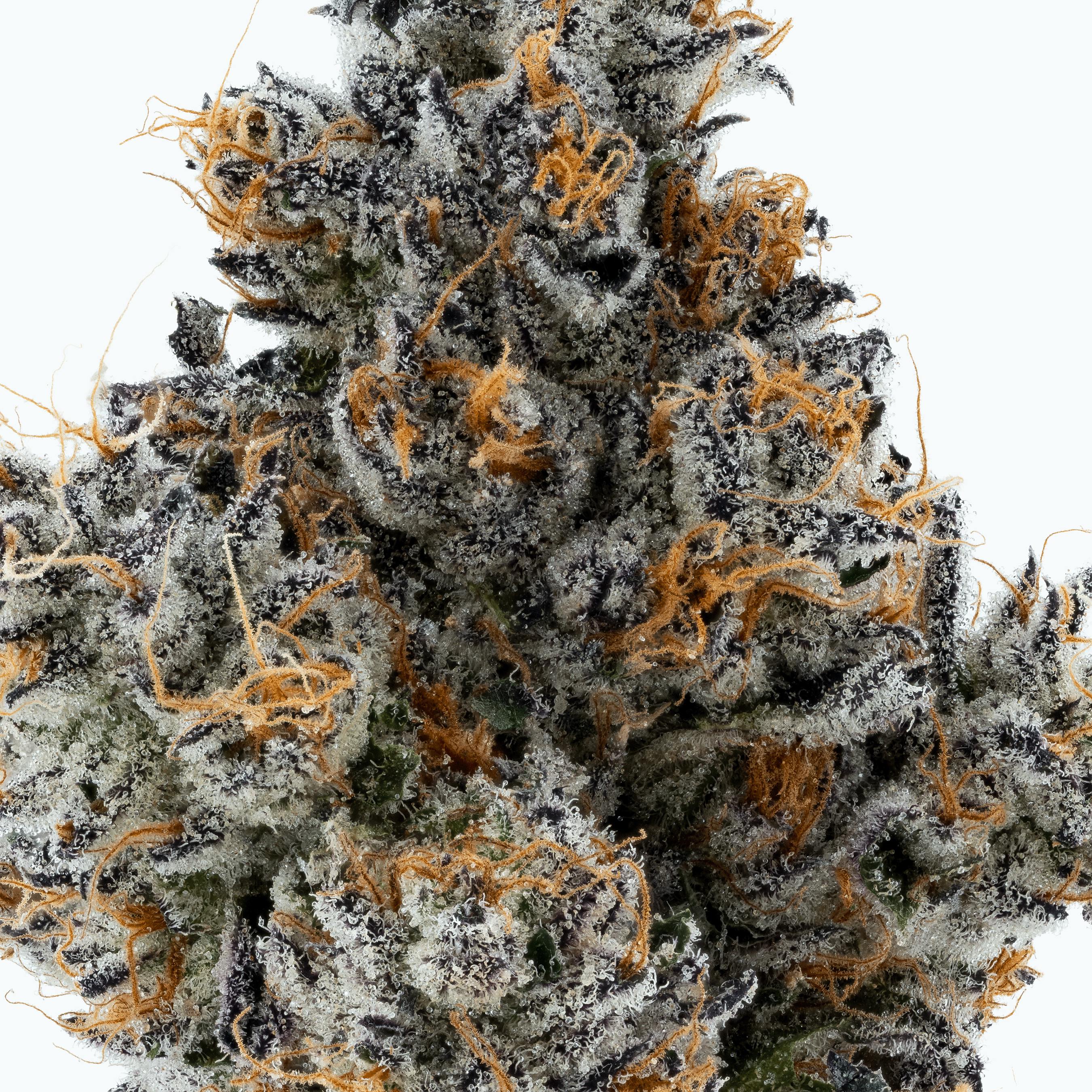 Lumpy's Flowers — Mylar Bag