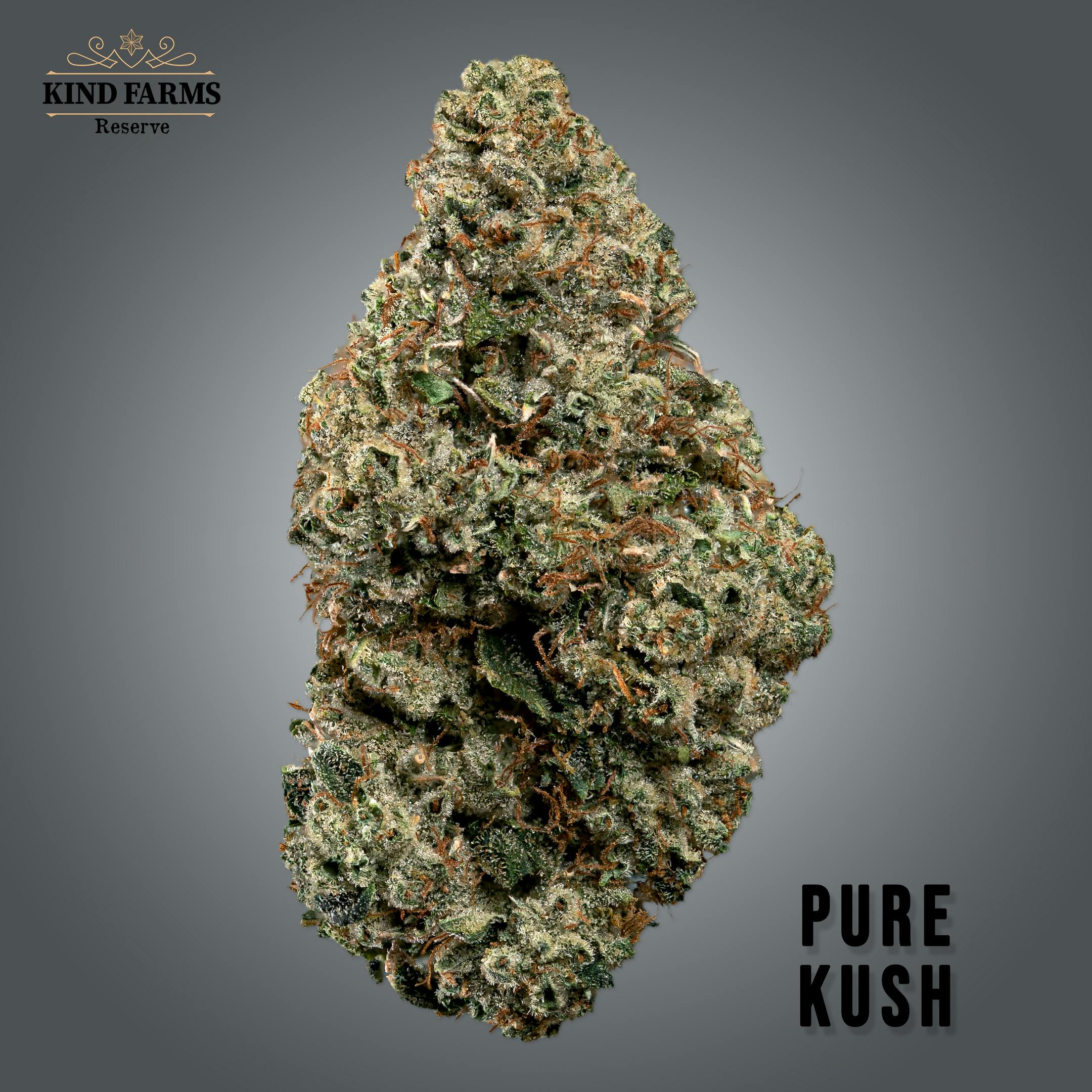 Pure Kush Kind Farms Reserve Kind Farms Reserve