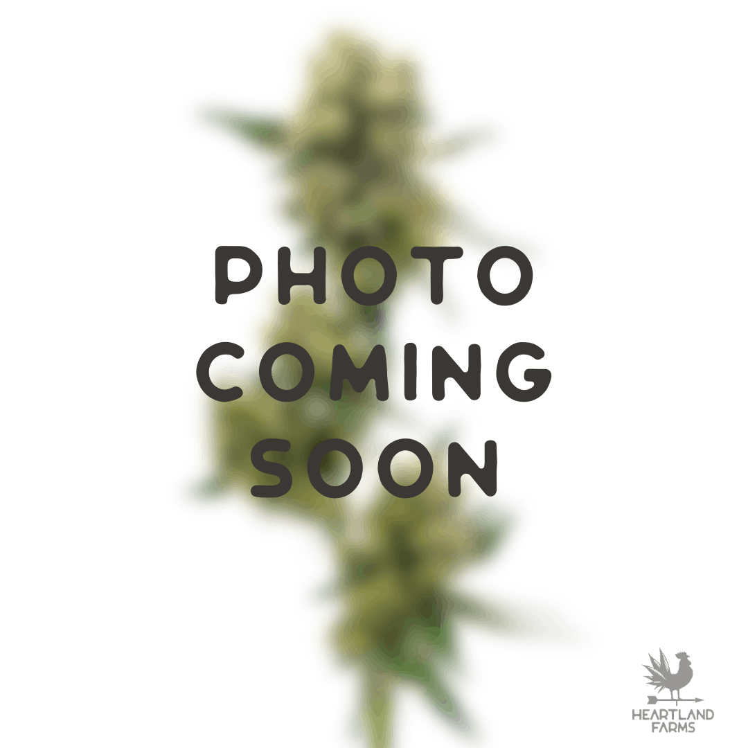 WiFi Mints Killer Heartland Farms