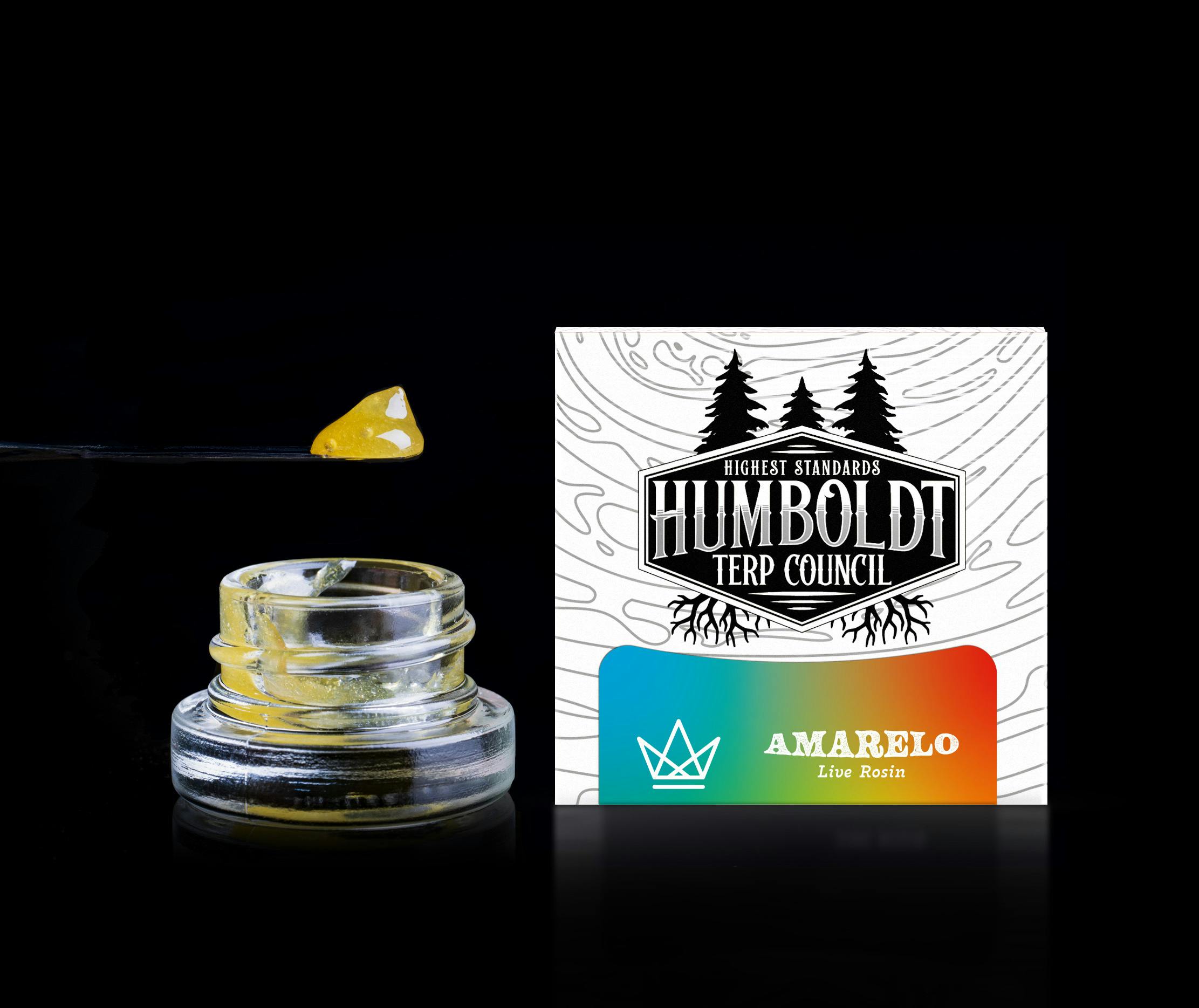 Humboldt Terp Council — Amarelo