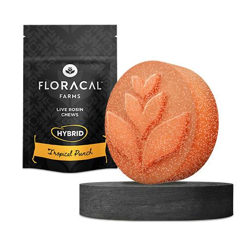 Live Rosin Chews | Tropical Punch Gummies | 100mg | 10ct | 10mg/ea