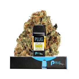 VAPE - 1g PLUG™ Washington: Super Lemon Haze