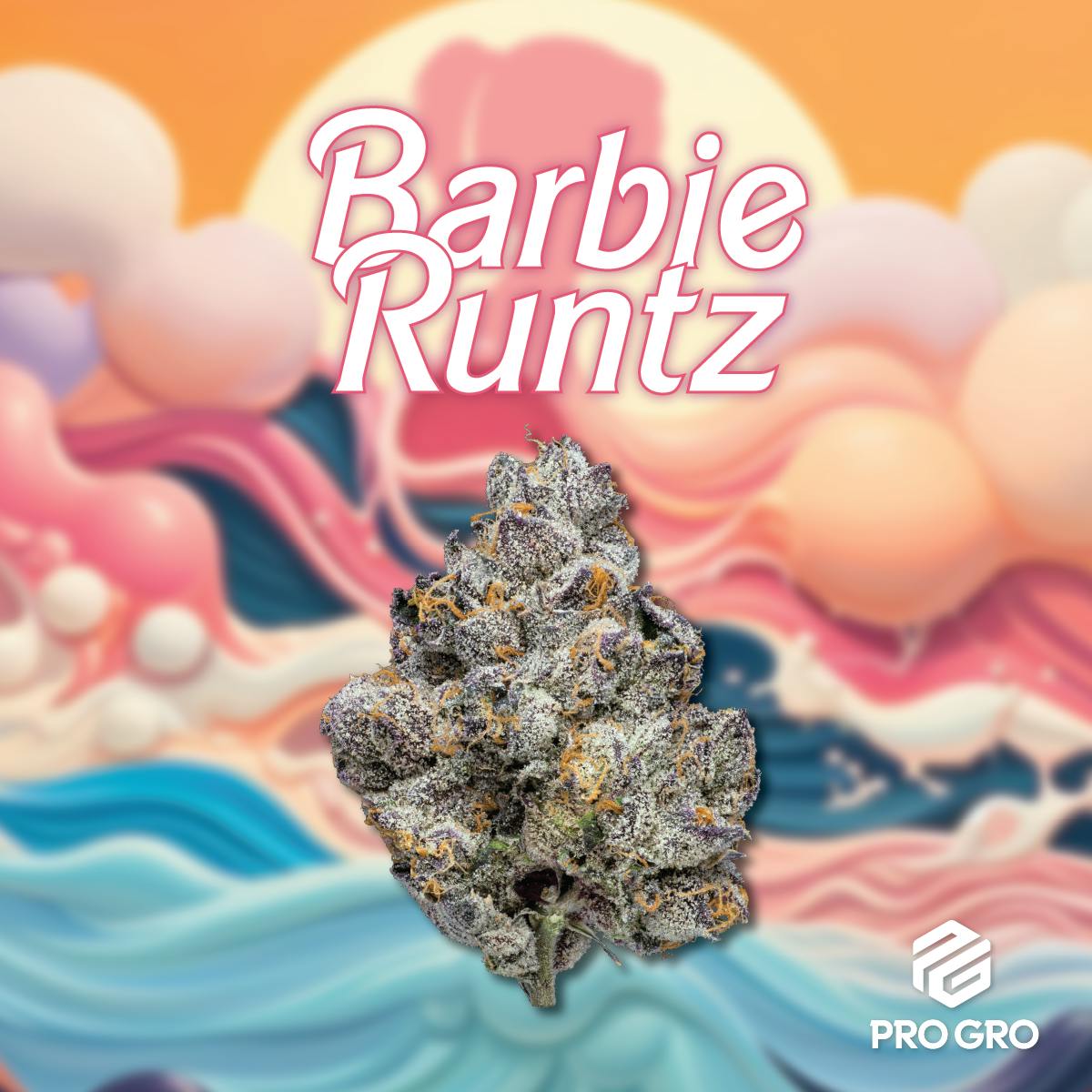 Barbie Runtz by Pro Gro