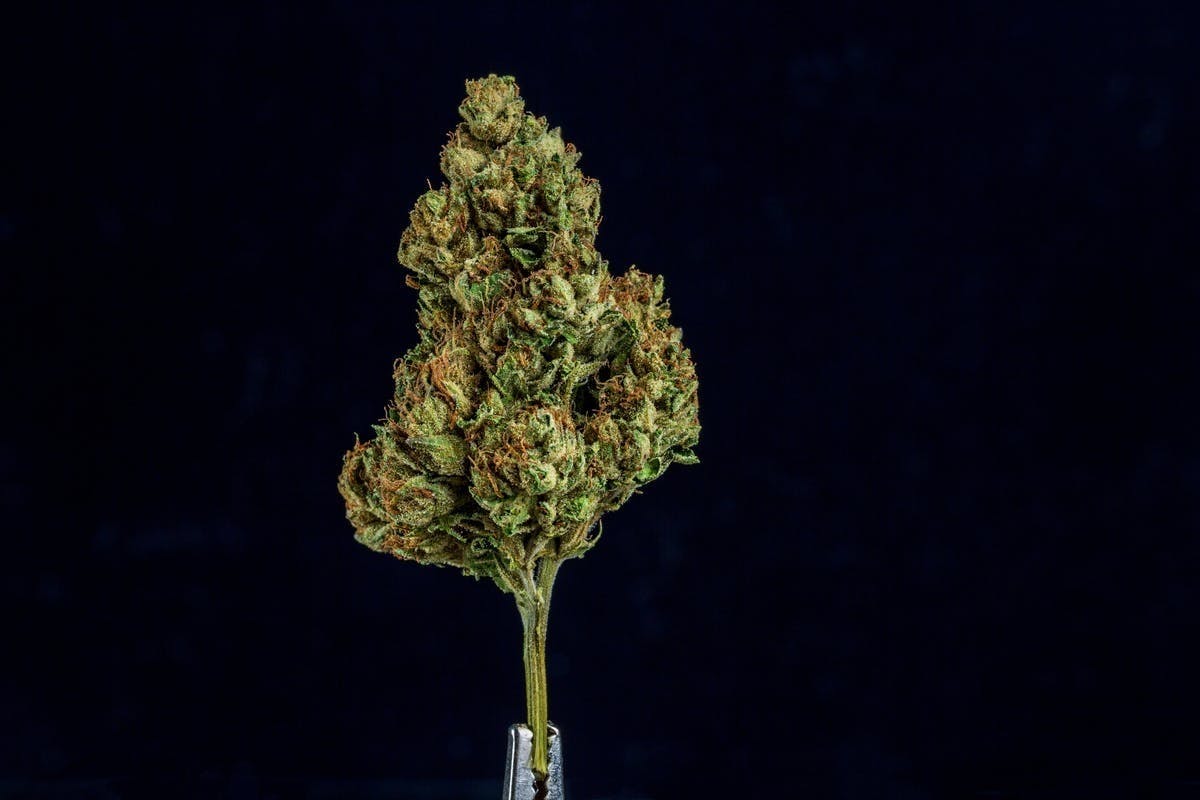 Farmer and the Felon — Lemon Cherry Gelato