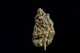Farmer and the Felon |Pave 1/2oz