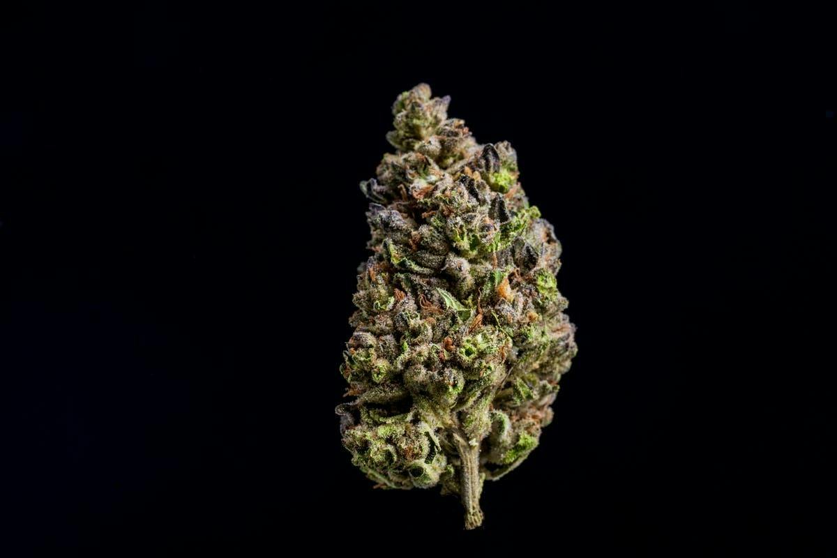 Farmer and the Felon | Flower Modified Grapes 1/4oz