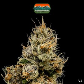 Rugged Roots | Runtz 3.5g Smalls