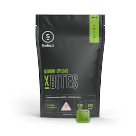 Rainbow Upload X Bites 10pk (100mg) | MD