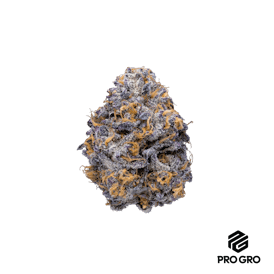 Pink Guava