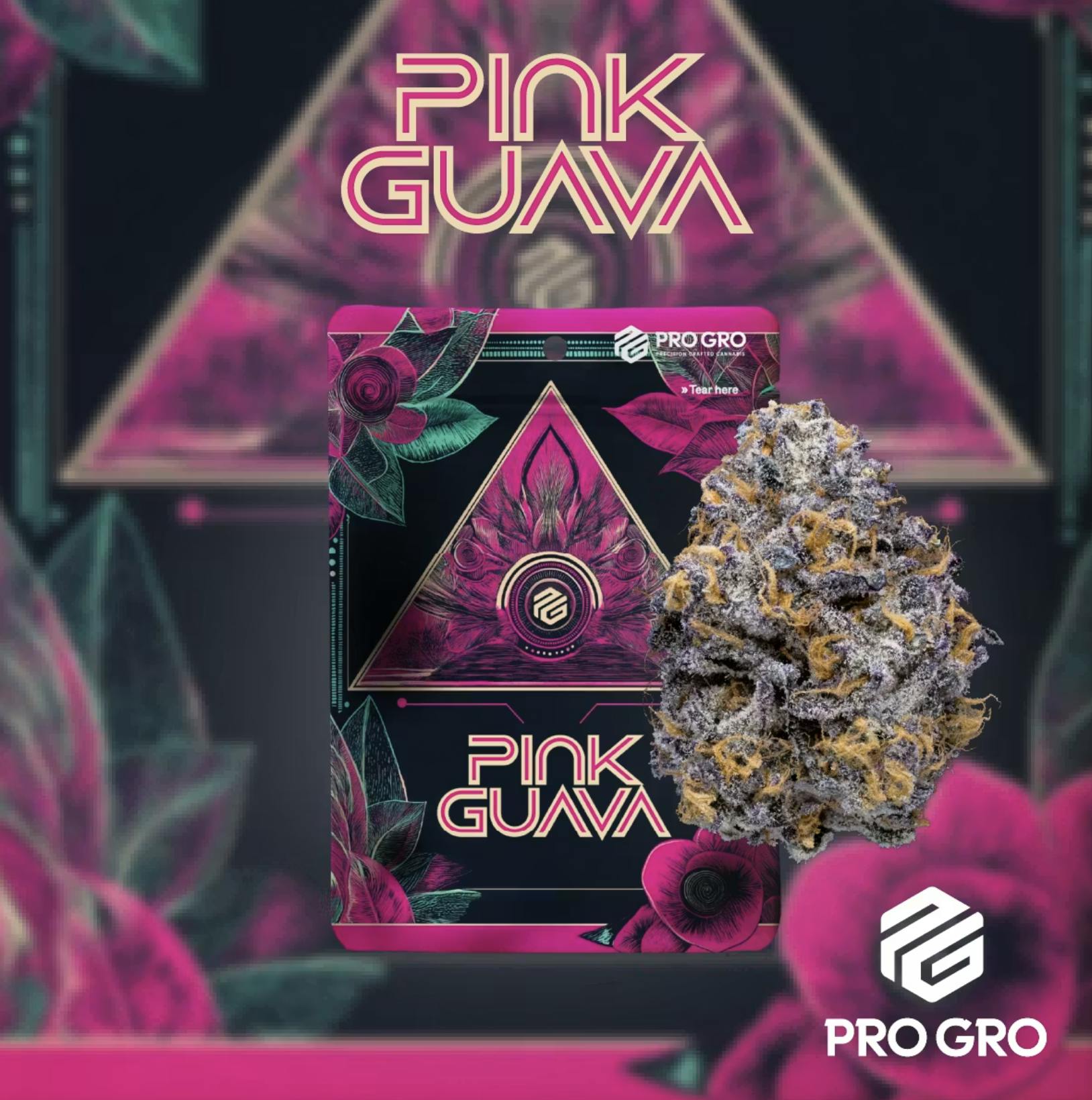 Pro Gro | Pink Guava | Big Buds | 3.5g by Pro Gro