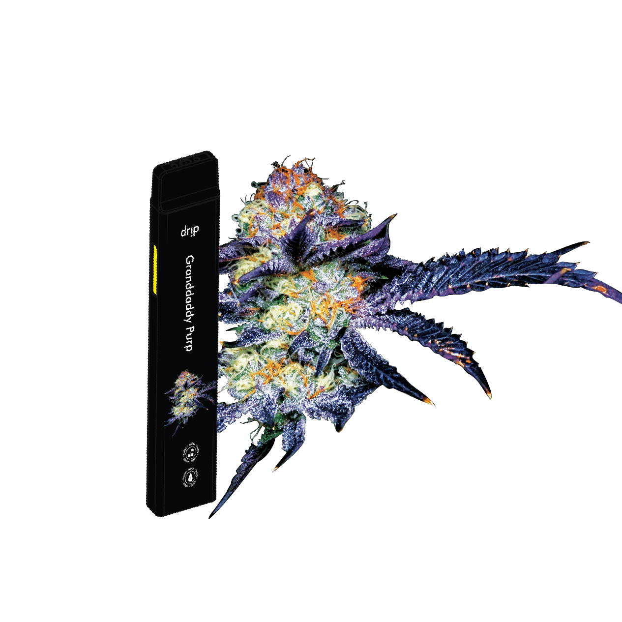 Drip 2g All In One (MED) Granddaddy Purple (Indica) Drip Vapes