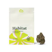 Green Habitat - DreamLand - (I) 14g