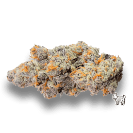 FREON | BIG BUDS