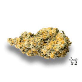 GMOSKI | BIG BUDS