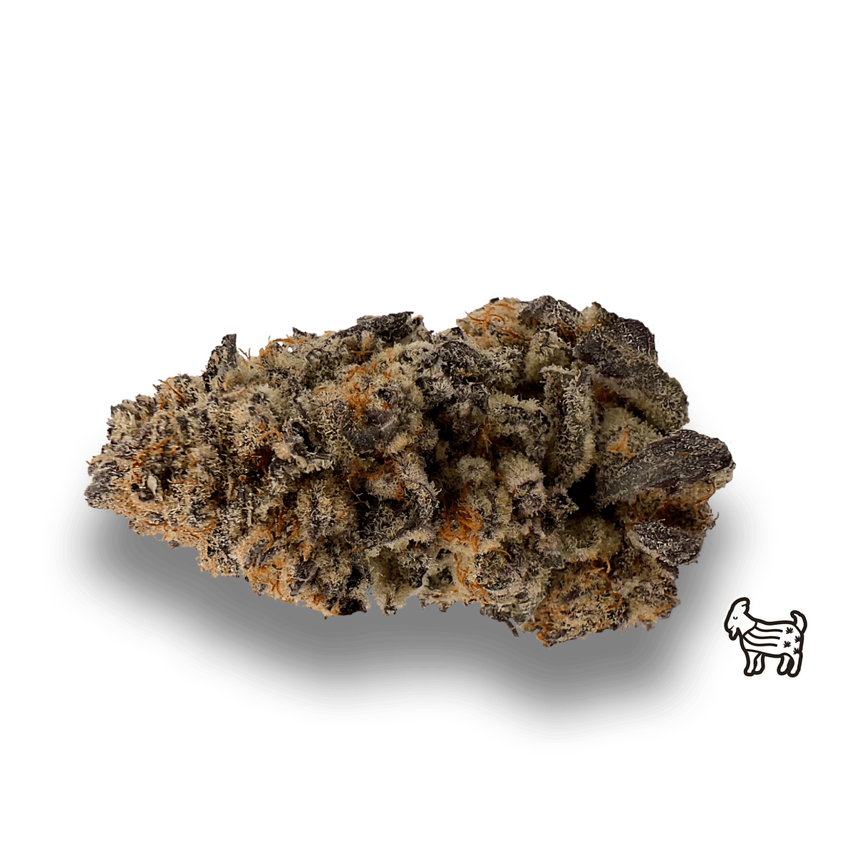 PURPLE PUNCH | BIG BUDS | 3.5G by The Laughing Goat
