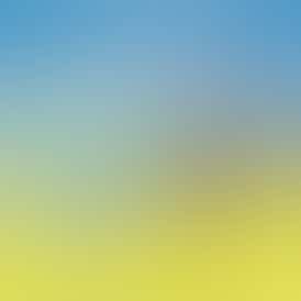 Local Grove Prepackaged Flower | Zoap | 3.5G