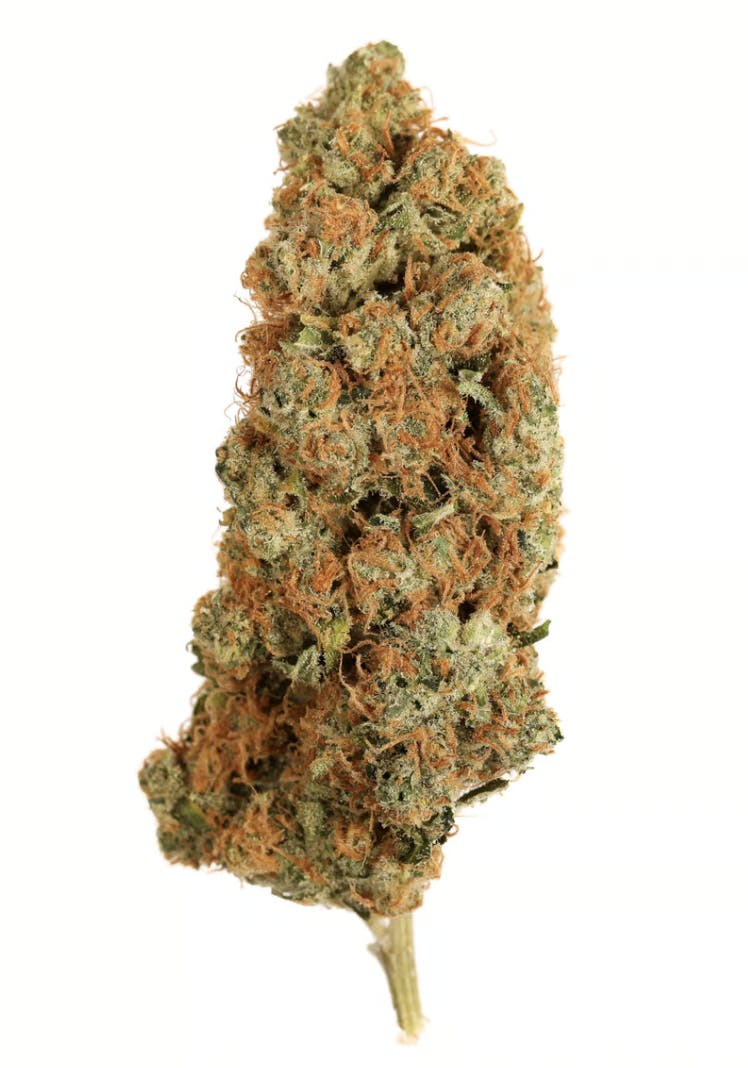 Orange Cookie Chem by Seed & Smith Cannabis