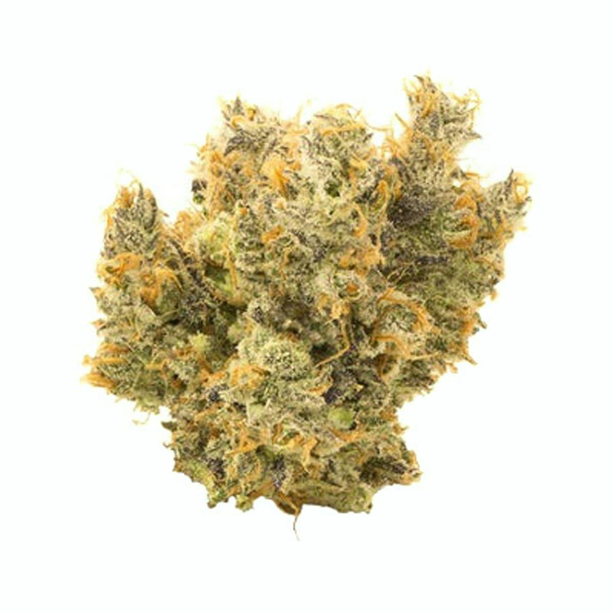 Guava Lava | 1/8th by Culta