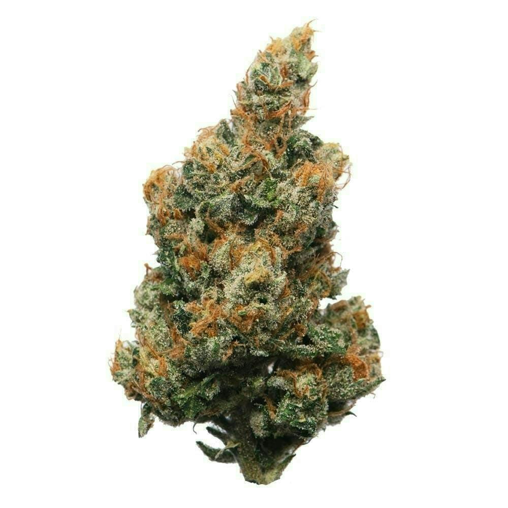 Proper Cannabis - Memory Loss | 1g by Proper Cannabis
