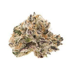 Aims Horticulture: Grapes N Cream