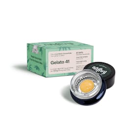Gelato 41 Live Resin Badder | 1g