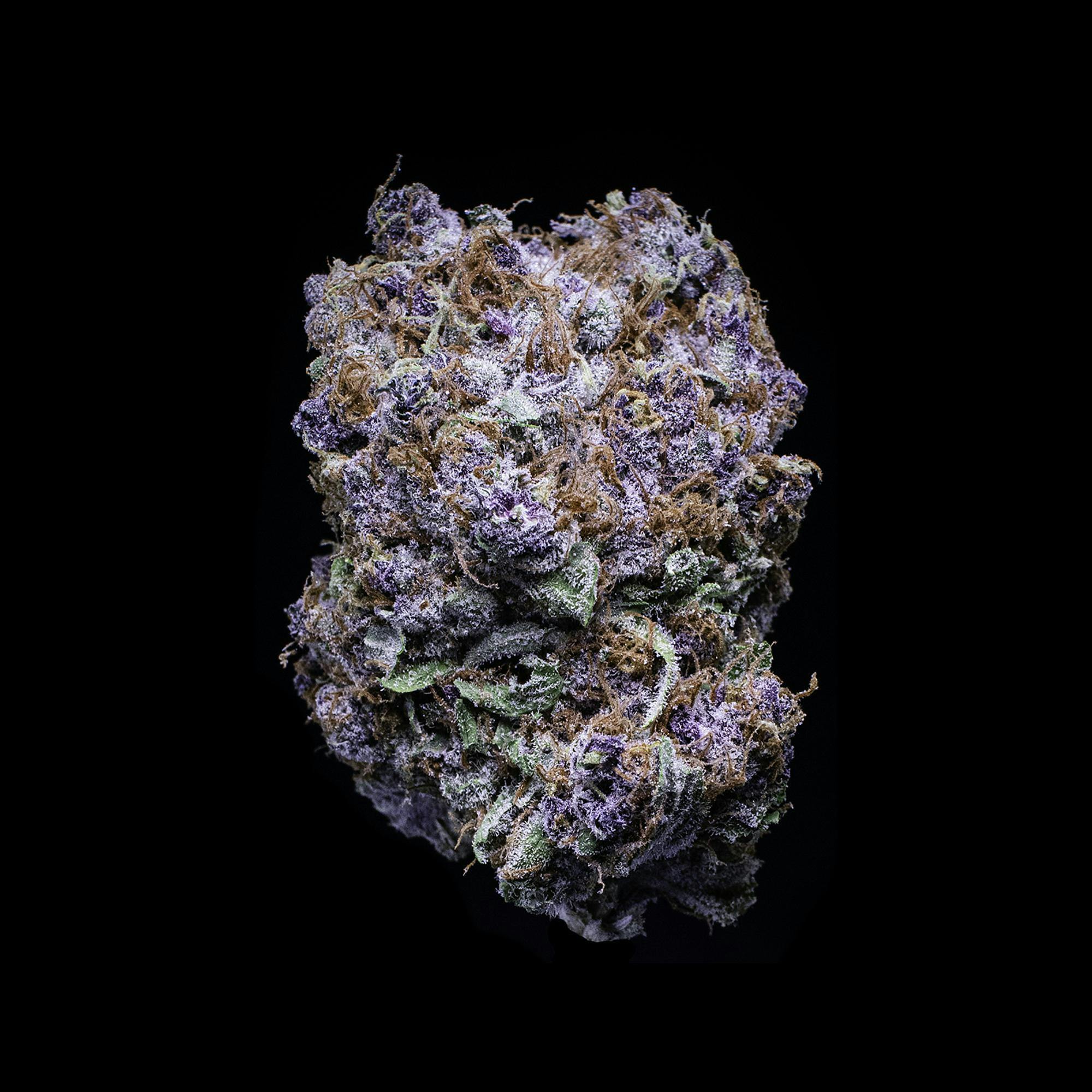 3.5g Blueberry Tide - Falcanna Pre-Pack Flower by Sooner Glue