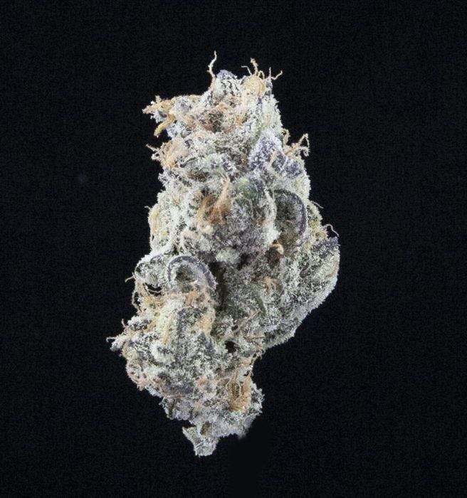 Sooner Glue Candy Queen Weedmaps